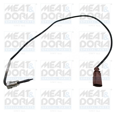 Sensor, exhaust gas temperature